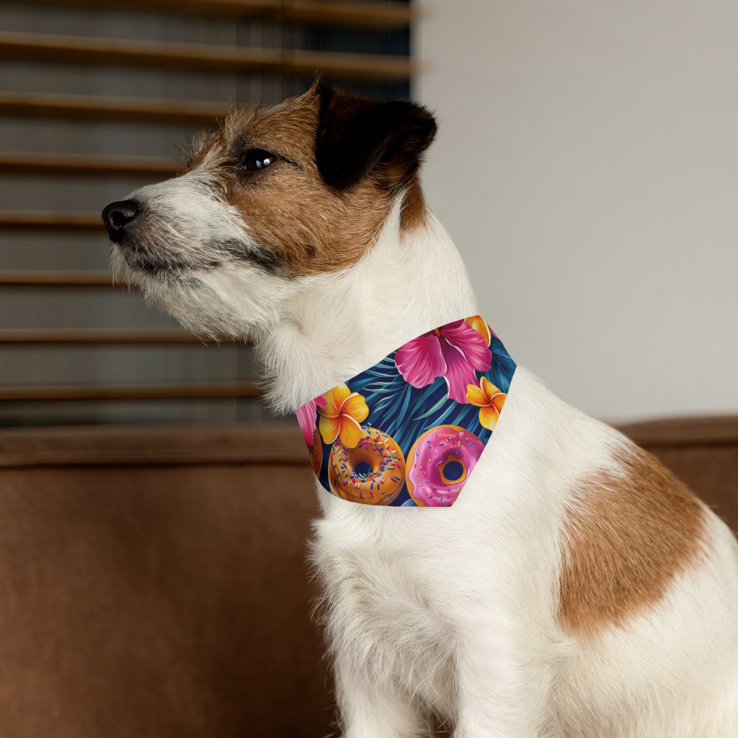 Donut For Dogs